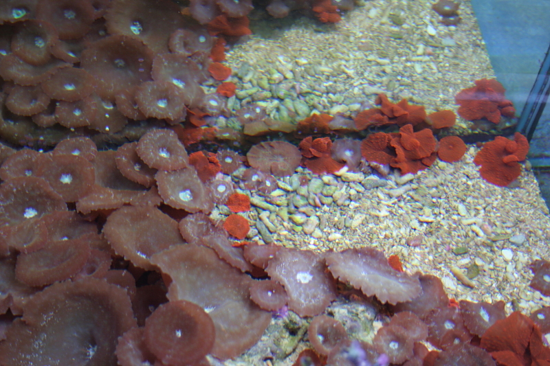 Killikus&reg; Fotographie